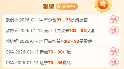 荷兰国家队宣布：廷伯因健康原因将无法参加西班牙之战